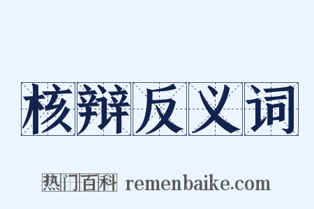 核辩反义词是什么意思的图片